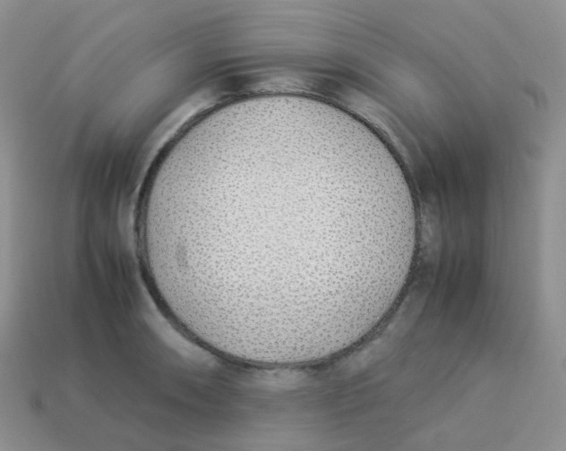 X0000113371090200910131316