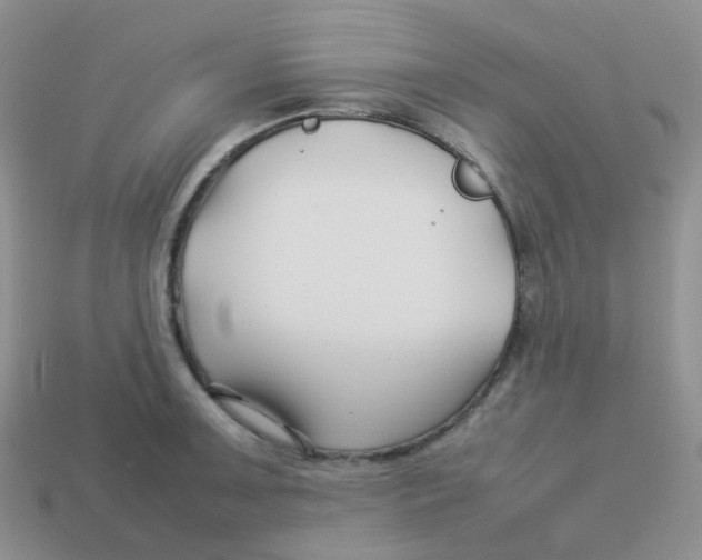 X0000113371091200910131316