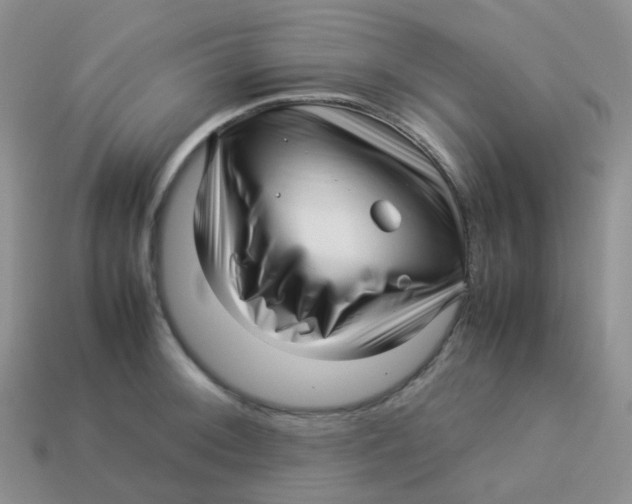 X0000113371092200910131316