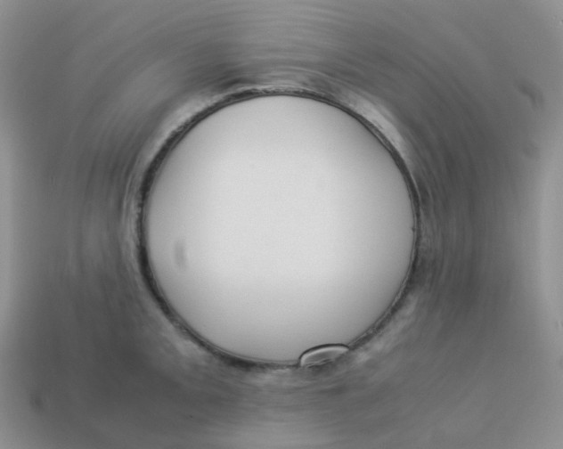 X0000113371093200910131316