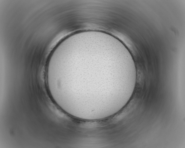 X0000113371094200910131316