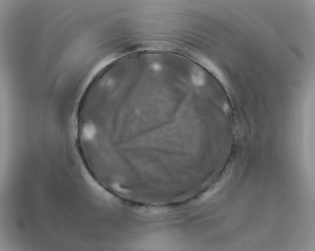 X0000113371095200910131316
