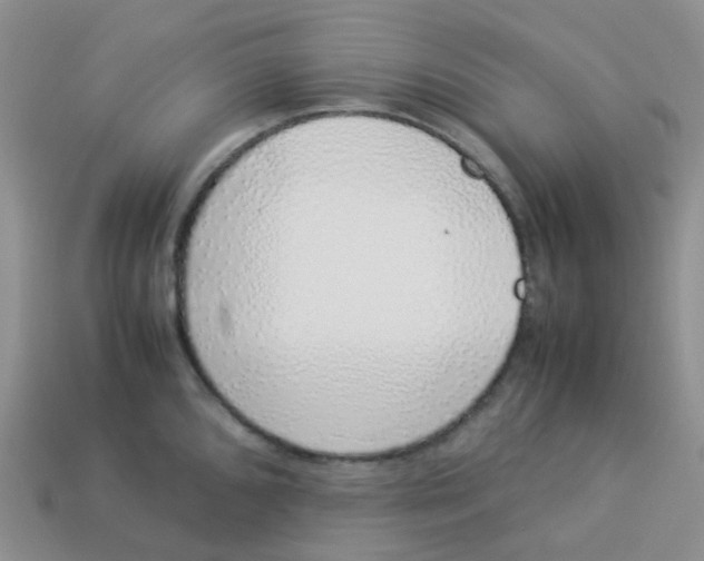 X0000113371096200910131316