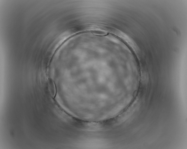 X0000113371097200910131316