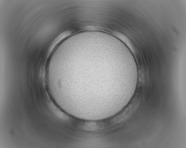 X0000113371098200910131316