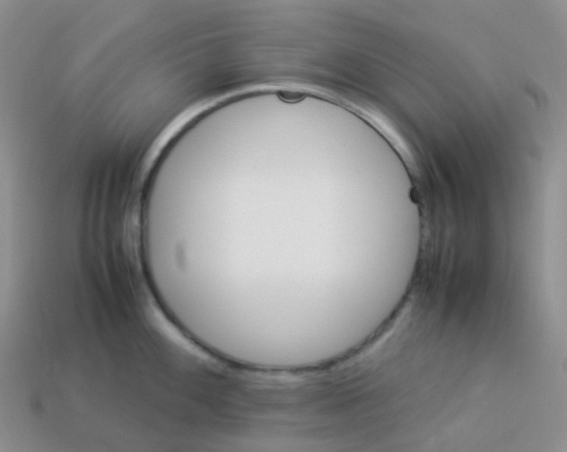 X0000113371100200910131316