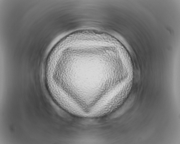 X0000113371101200910131316