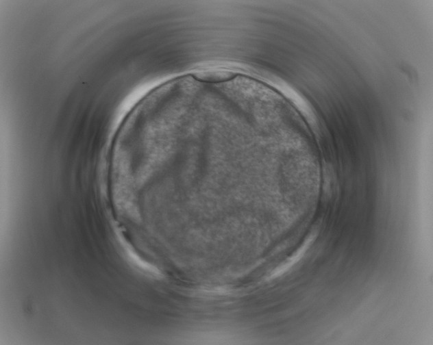 X0000113371102200910131316