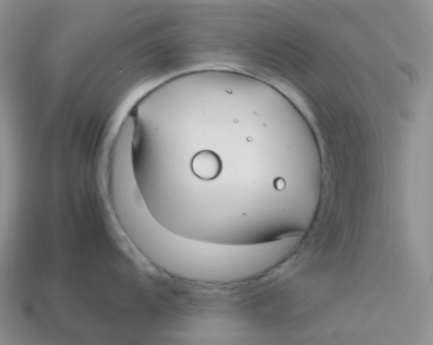 X0000113371104200910131316