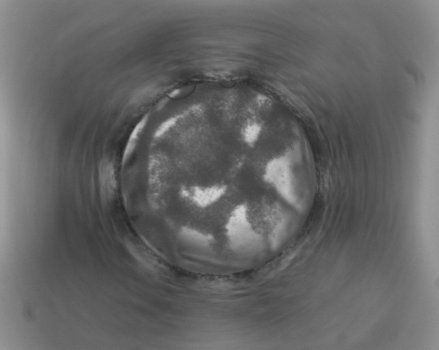X0000113371106200910131315