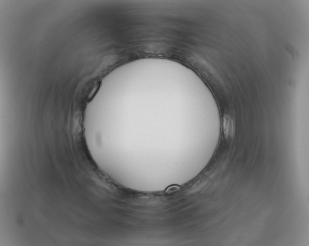 X0000113371107200910131315