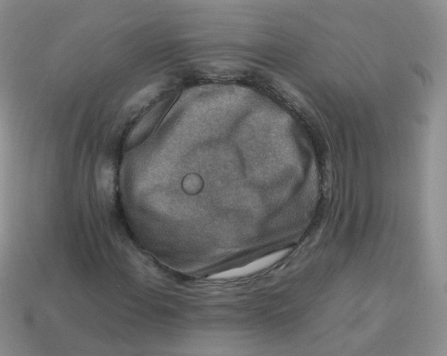 X0000113371108200910131315