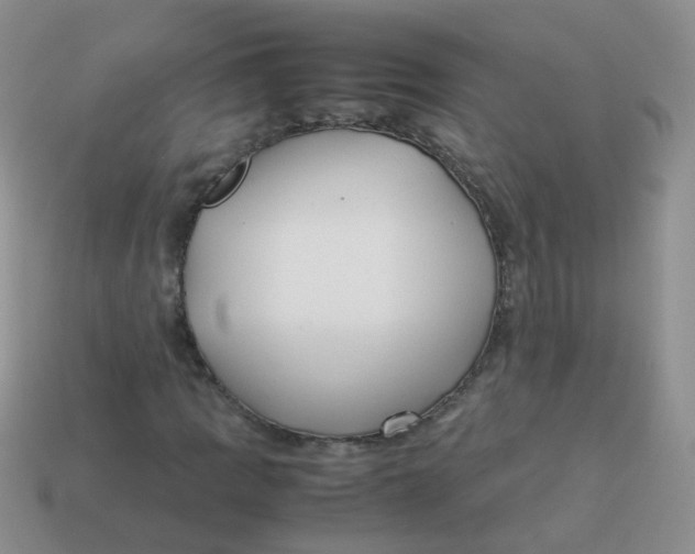 X0000113371109200910131315