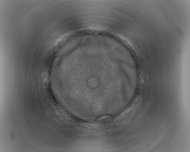 X0000113371110200910131315