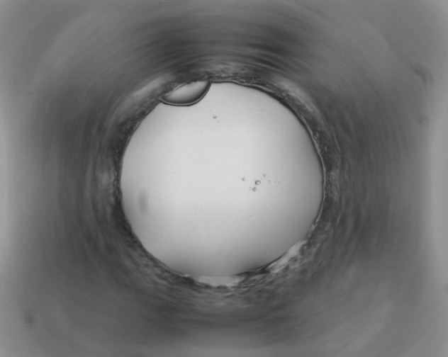 X0000113371111200910131315