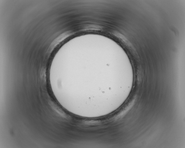 X0000113371113200910131315