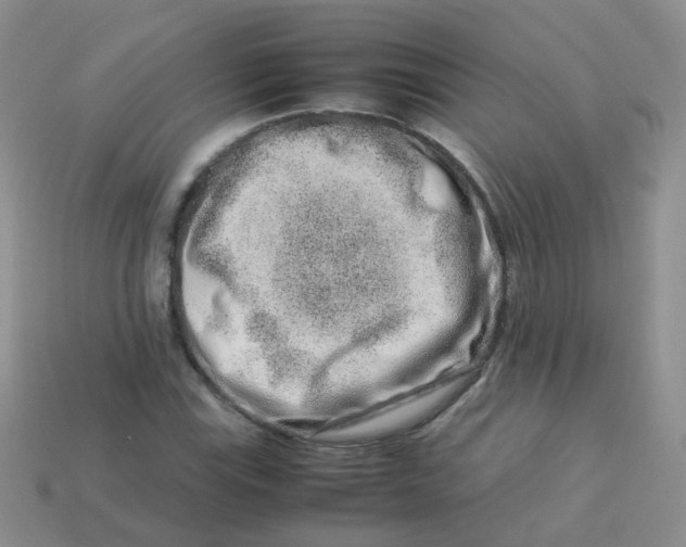X0000113371115200910131315