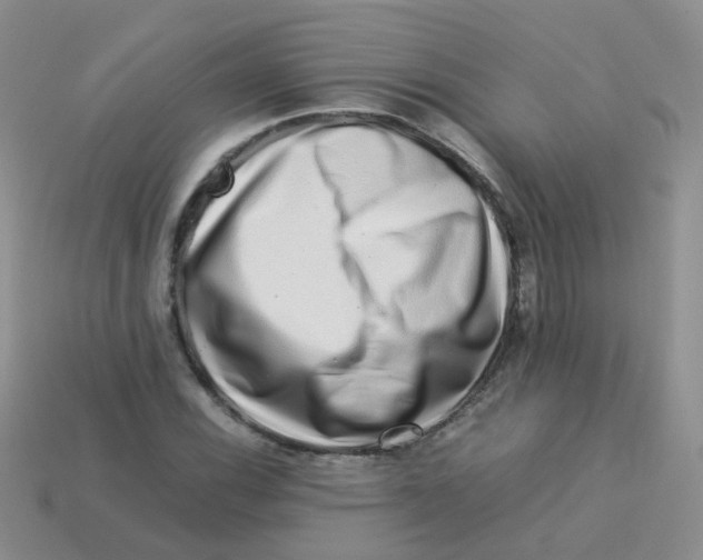 X0000113371116200910131315