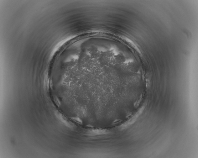 X0000113371117200910131315