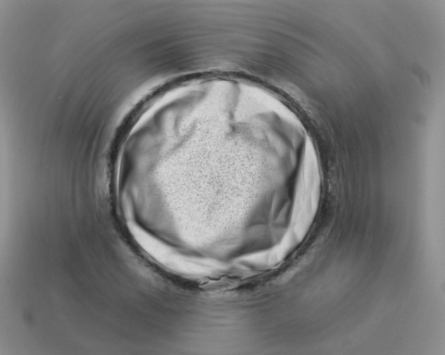 X0000113371118200910131315