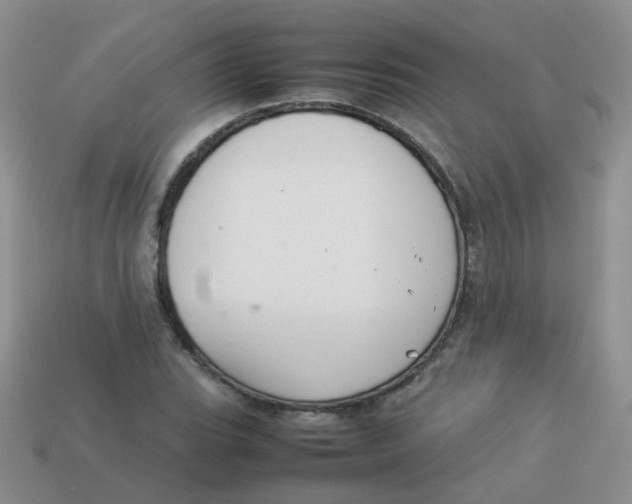 X0000113371119200910131315