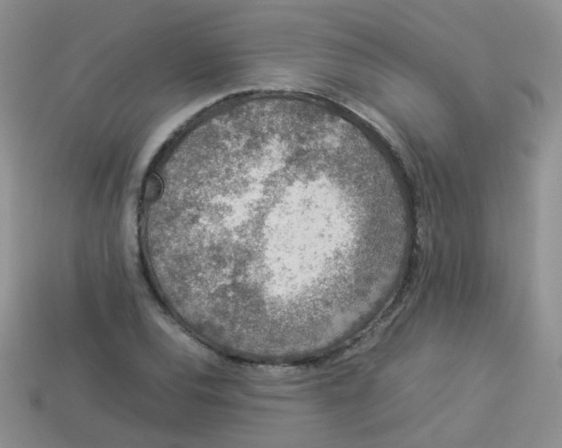 X0000113371120200910131315