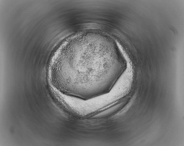 X0000113371121200910131315
