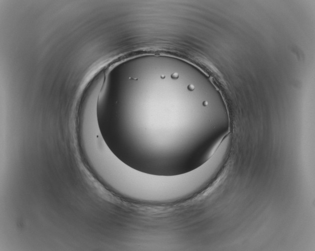X0000113371122200910131315