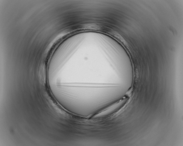 X0000113371123200910131315