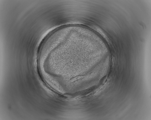 X0000113371124200910131315