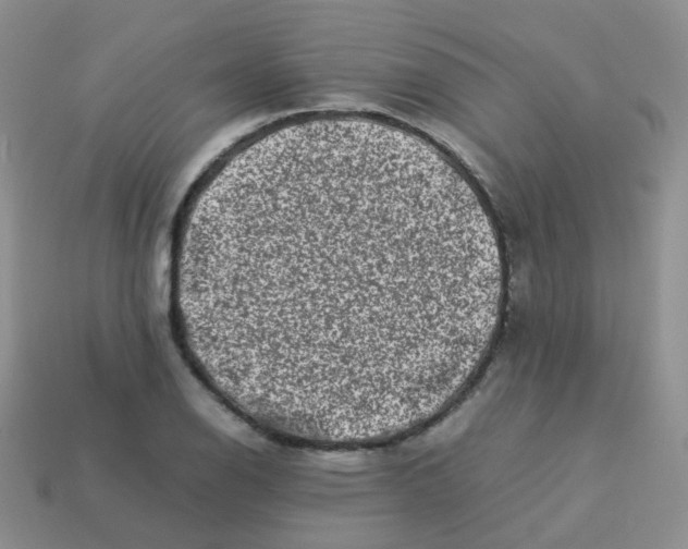 X0000113371126200910131315