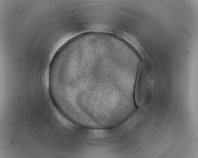 X0000113371128200910131315