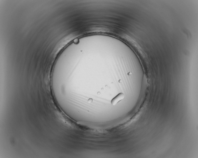 X0000113371129200910131315