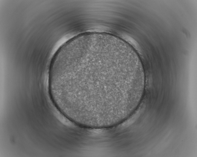X0000113371130200910131315