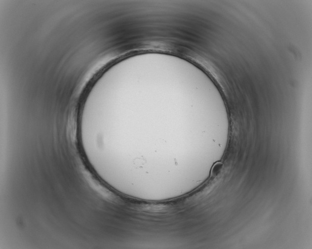 X0000113371131200910131315