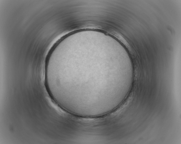 X0000113371132200910131315