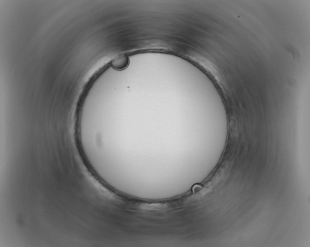 X0000113371135200910131315