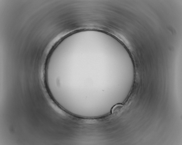 X0000113371136200910131315