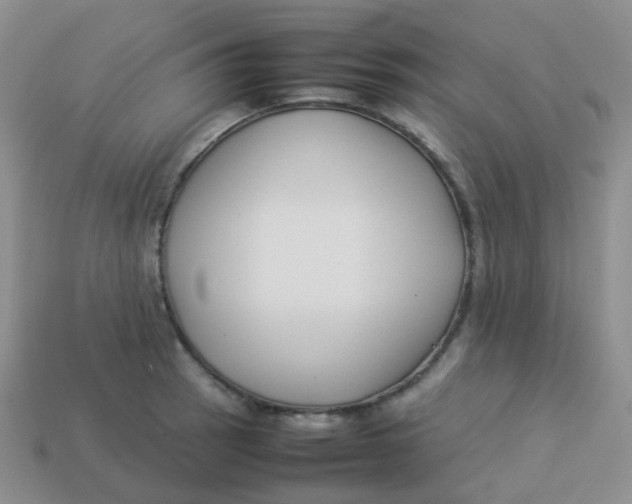 X0000113371137200910131315