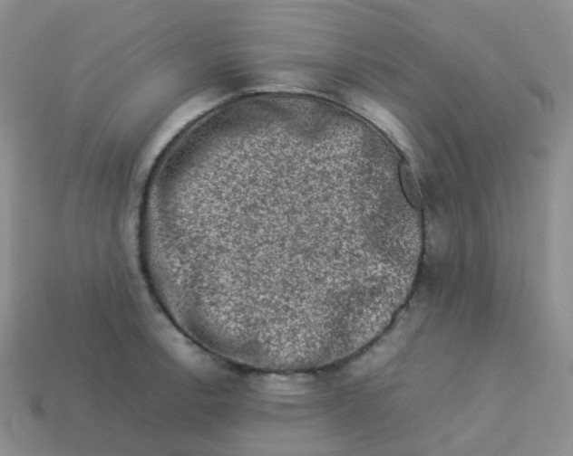 X0000113371138200910131315