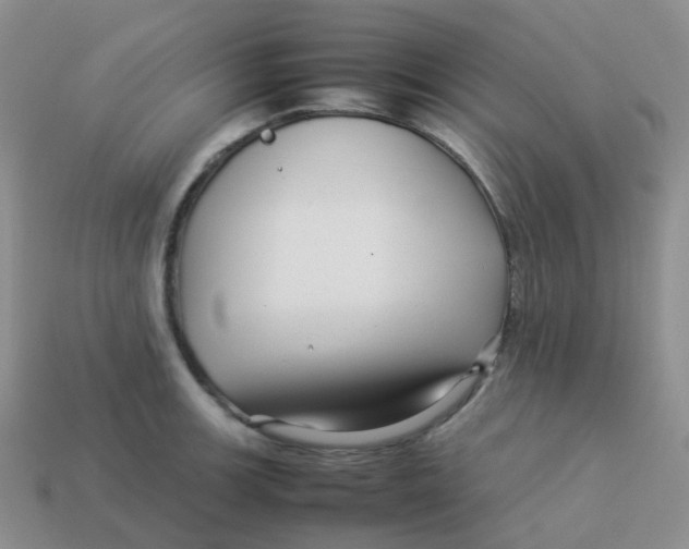 X0000113371139200910131315