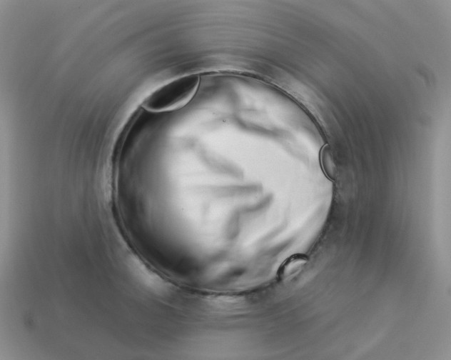 X0000113371140200910131315
