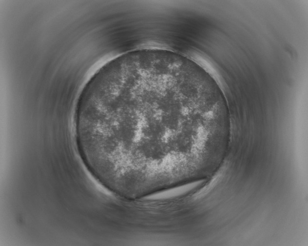 X0000113371141200910131315