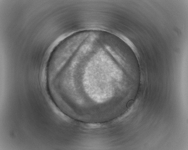 X0000113371144200910131316