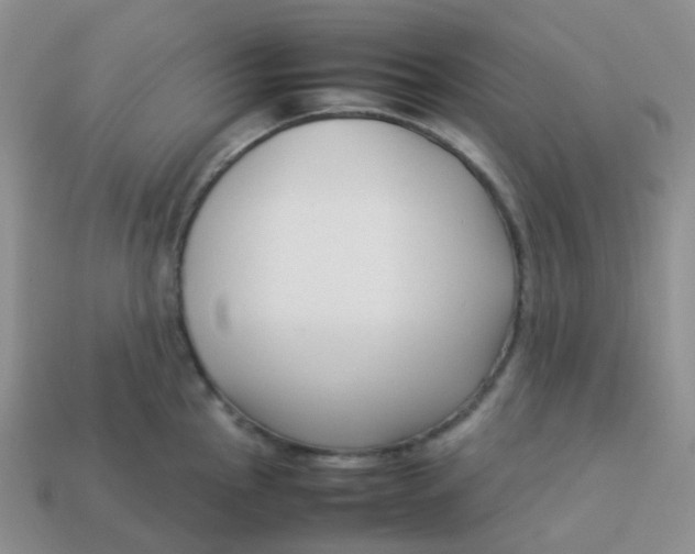 X0000113371145200910131316