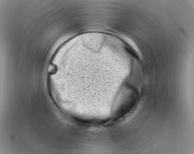 X0000113371146200910131316