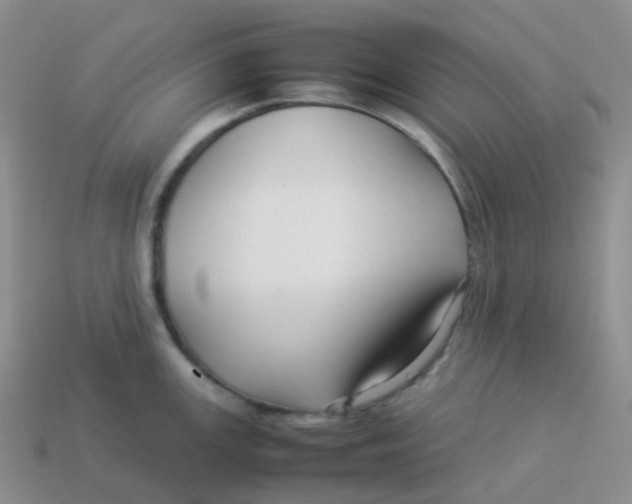 X0000113371147200910131316