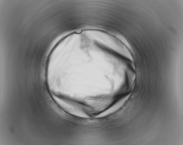 X0000113371148200910131316