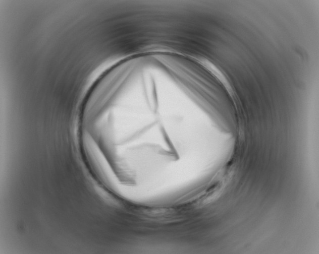 X0000113371149200910131316