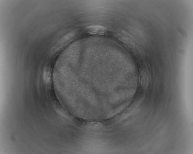 X0000113371154200910131315